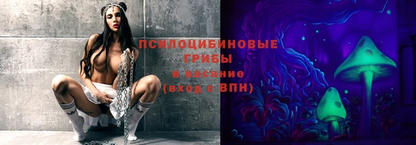 прущие крисы Алзамай
