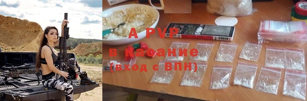 прущие крисы Алзамай