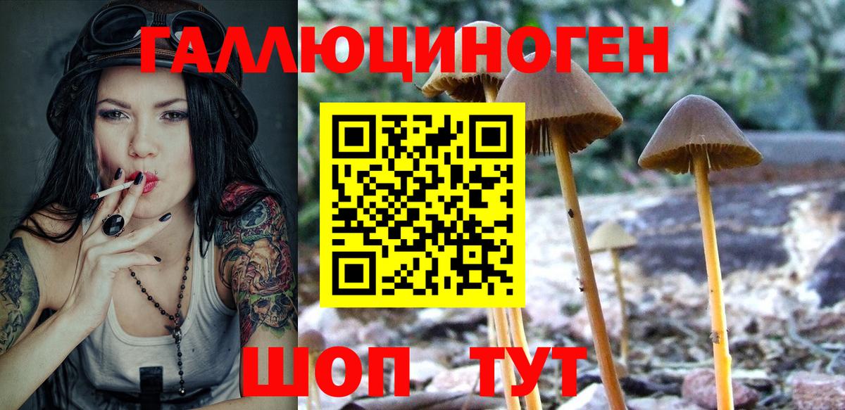 Псилоцибиновые грибы Cubensis  Вход с VPN  закладки  Менделеевск 