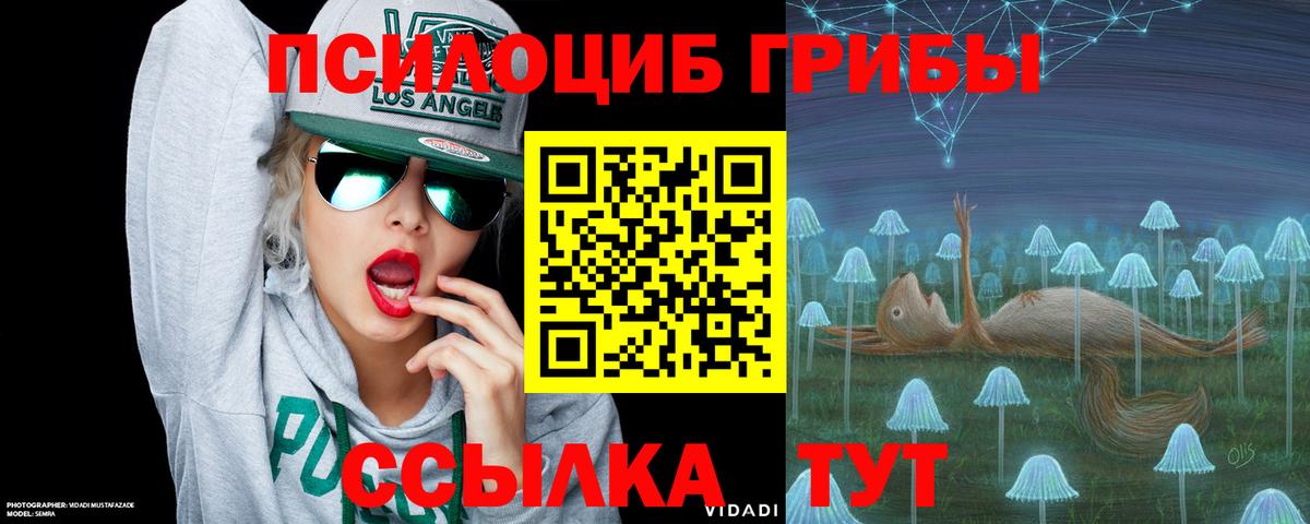 Псилоцибиновые грибы MAGIC MUSHROOMS Менделеевск