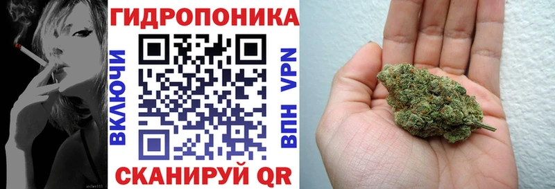 МАРИХУАНА SATIVA & INDICA  блэк спрут зеркало  Менделеевск 